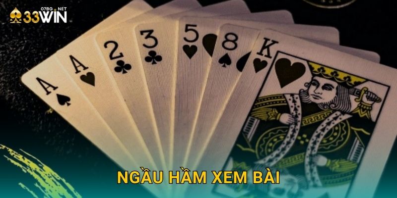 Ngầu Hầm Xem Bài 33win bg – Kịch Tính Từng Phút
