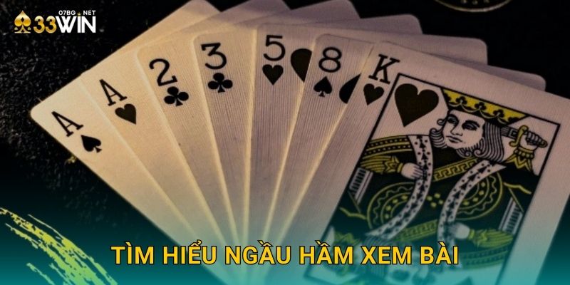 Tìm hiểu ngầu hầm xem bài